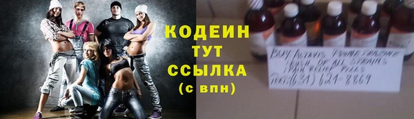 гашик Алексин