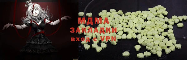 гашик Алексин