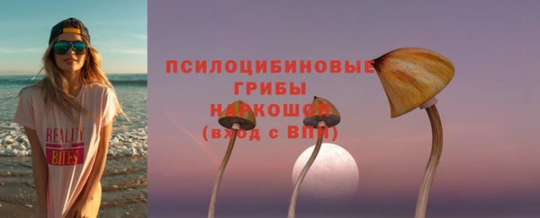 гашик Алексин