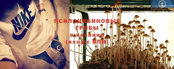гашик Алексин