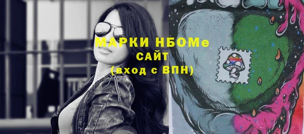 гашик Алексин