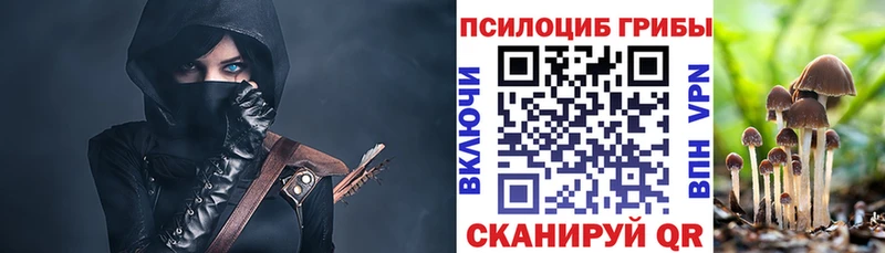 Псилоцибиновые грибы Psilocybine cubensis  Солигалич 